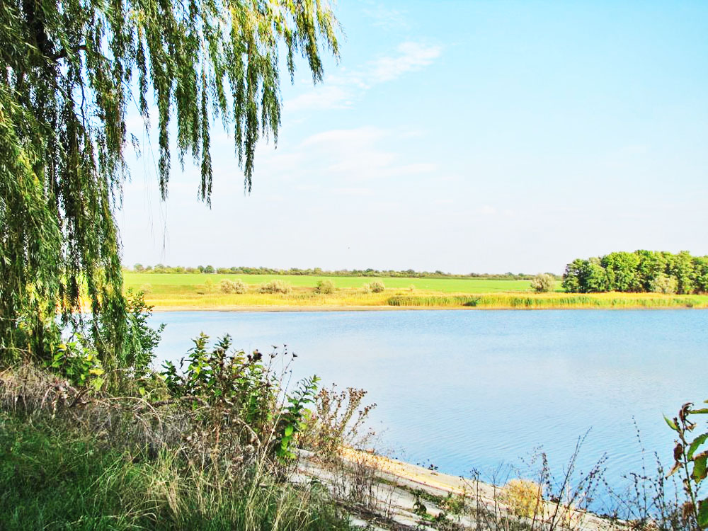 Лозова
